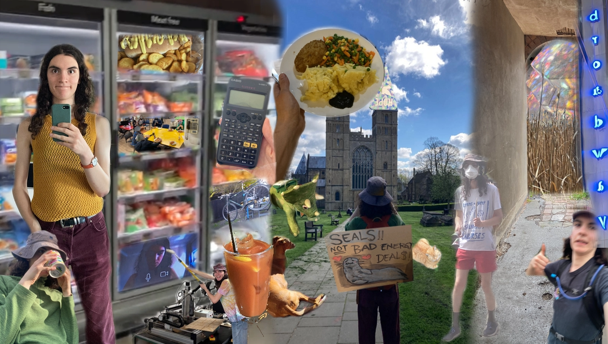 A very busy photo collage, divided into roughly 3 parts. On the left is a big freezer, like you see in a shop. Various shelves of the freezer are filled with more photos, such as a communal meal at Nottinghack, or some bicycle repairs. In the middle is a view of Southwell Minster -- a beautiful English Gothic church with a hand-coloured pencil flag reading 'HOPE' superimposed over one of the spires. In the photo, I stand with my back to the camera wearing a wide brimmed hat and a cardboard sign that says 'SEALS!! NOT BAD ENERGY DEALS' is positioned over my back. On the left is a view through a terrace alleyway, except over the end I have put the light pattern cast by a stained-glass window, and a field of dry glass. In the foreground are various photos of me, including one of me looking super cool in a sleeveless yellow knit top B). Theres also me drinking a mug of tea, running, protesting playing an agogo, a dog, a cat, a calculator and a plate of food with mashed potato.