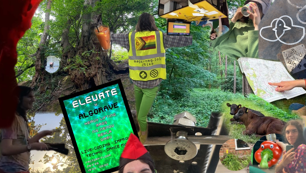 A very busy photo collage. In the background are photos of trees with verdant green leaves and gnarled roots. In the foreground is photos of things such as a bolt into a pannier rack and some googly eyes on a pepper. Dotted around are cropped circles with pictures of flowers or my head whilst swimming in a lake. There are photos of me doing various activites; playing the drums, sat on a train and enjoying a coffee in the morning.